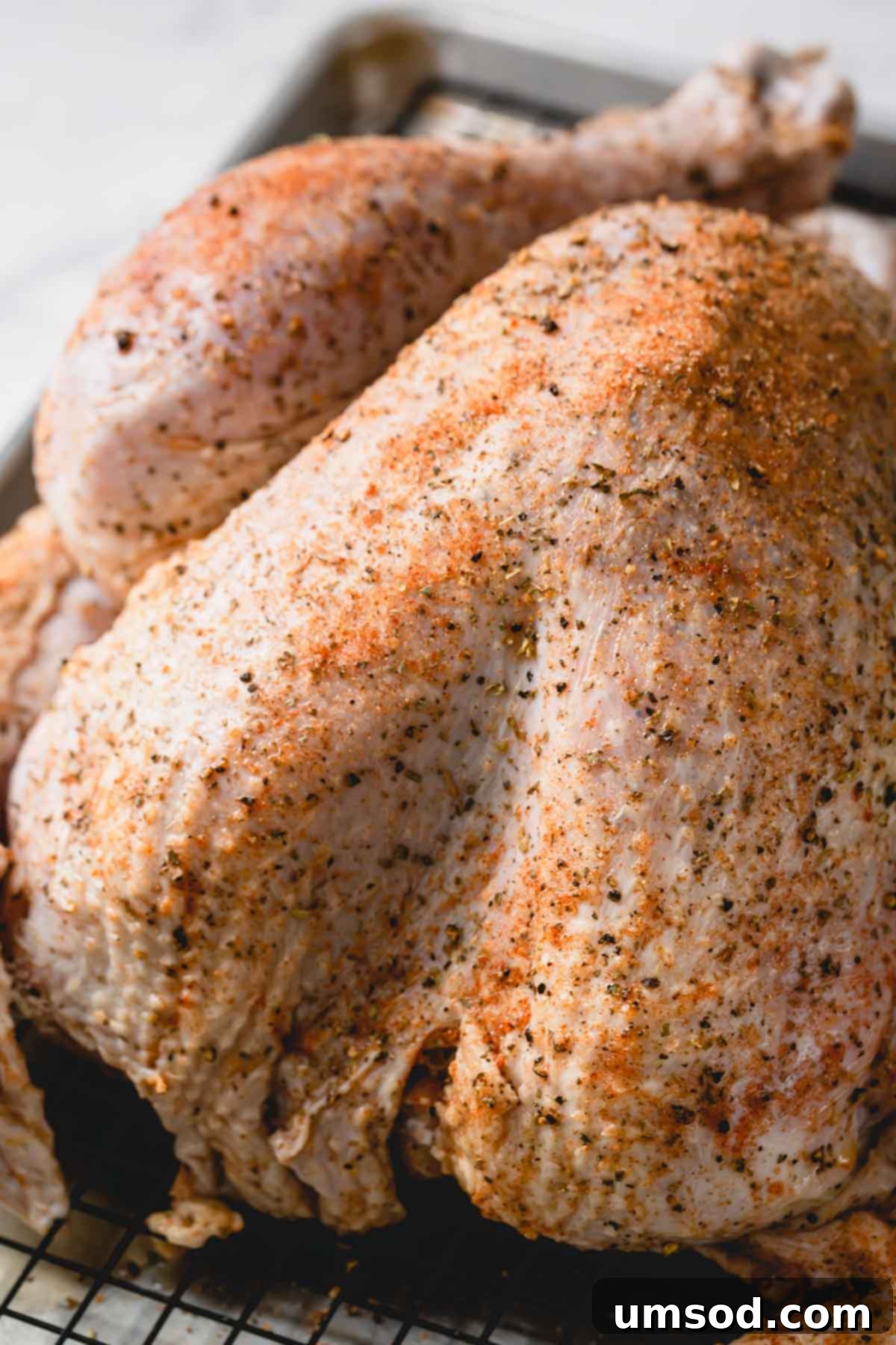 Uncooked whole turkey rubbed with seasoning.