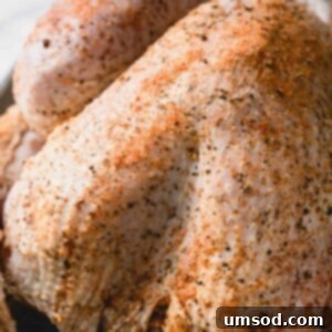 Uncooked whole turkey rubbed with seasoning.