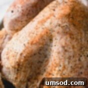 Uncooked whole turkey rubbed with seasoning.