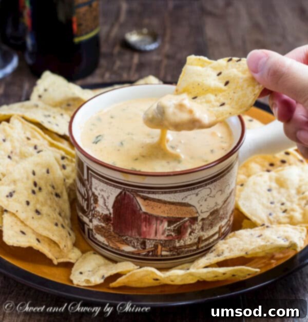 Sizzling Velvety Cheese Bliss 5 An overhead shot of the creamy hot cheese dip served with an array of vibrant, colorful tortilla chips, making a perfect party snack.