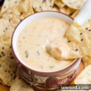 Sizzling Velvety Cheese Bliss 6 A close-up image of the finished hot cheese dip, warm and inviting, ready to be served.