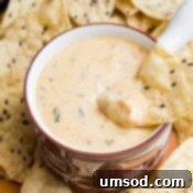 Sizzling Velvety Cheese Bliss 7 A smaller image showcasing the appealing texture of the hot cheese dip, perhaps a final styled shot.