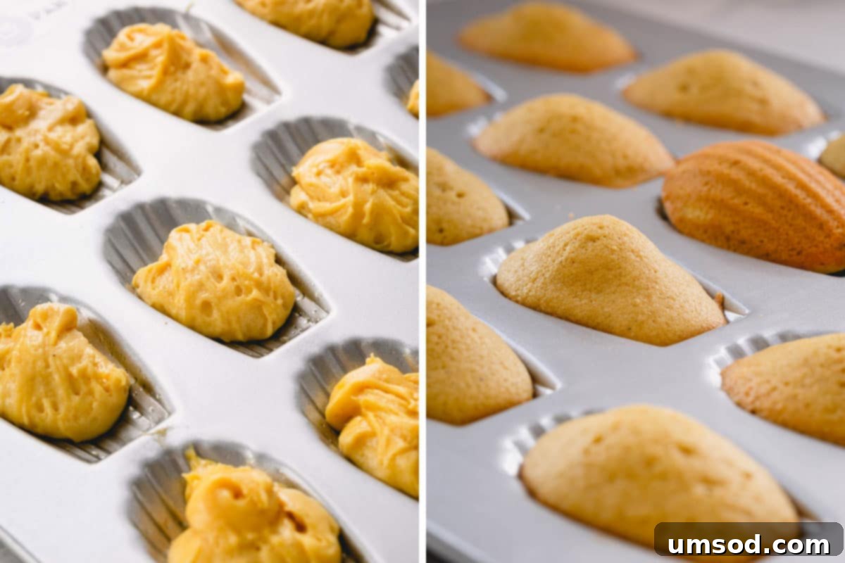 Zesty Bergamot Madeleines 9 Side-by-side images illustrating the baking process: madeleine batter in the pan before baking, and golden-brown, perfectly baked madeleines with visible humps in the same pan.