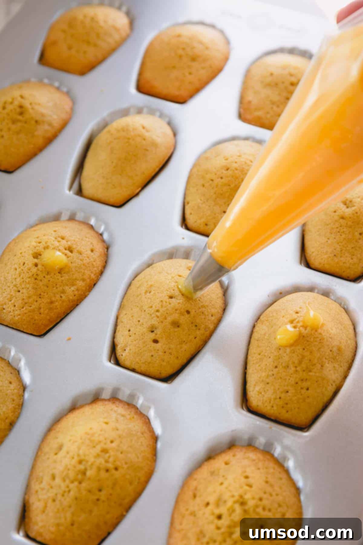 Zesty Bergamot Madeleines 10 A close-up image showcasing a piping bag filled with vibrant lemon curd being expertly used to fill the center of a baked madeleine.