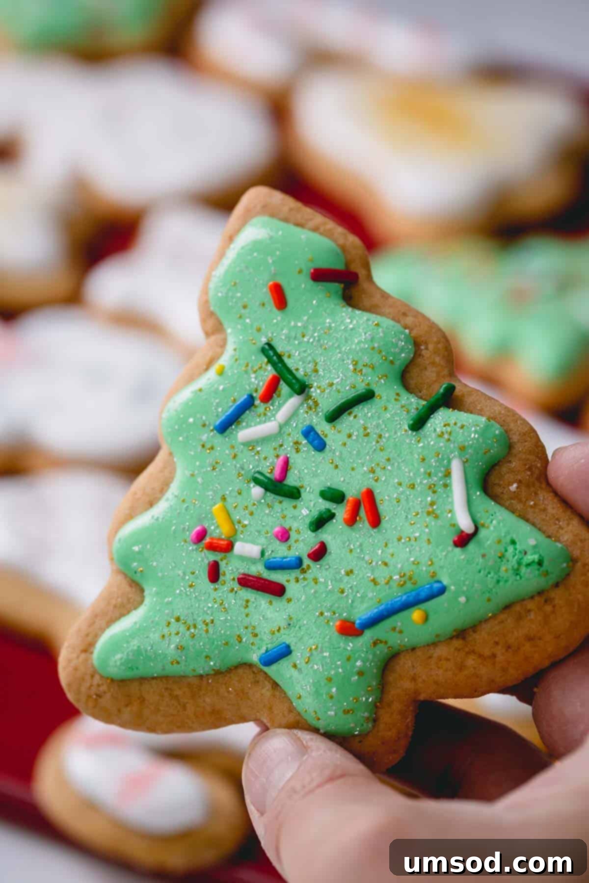 A hand gently holding a beautifully decorated Christmas tree cookie adorned with colorful sprinkles, embodying holiday joy.