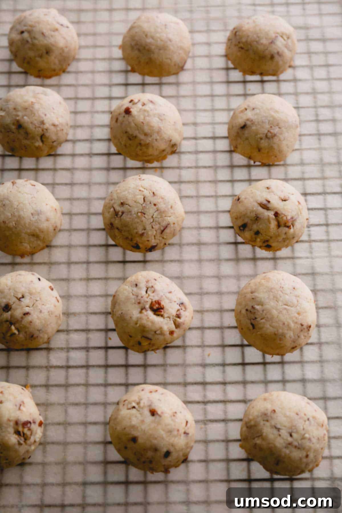 Freshly baked snowball cookies resting on a wire rack after their initial coating of powdered sugar, still warm.