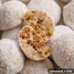 A beautiful close-up of a Russian Tea Cake cookie, broken in half, showing its tender interior.