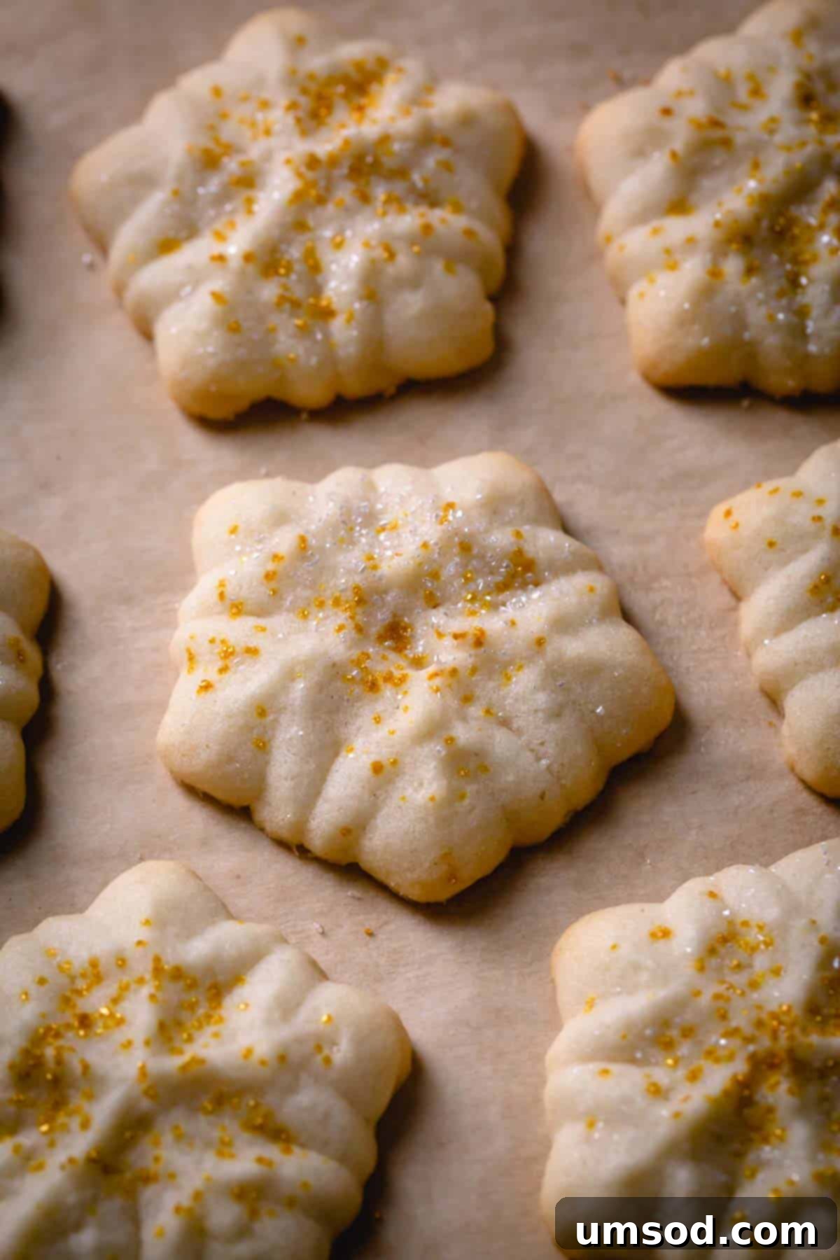 A close-up shot of a perfectly formed star-shaped butter cookie, showing its intricate details.