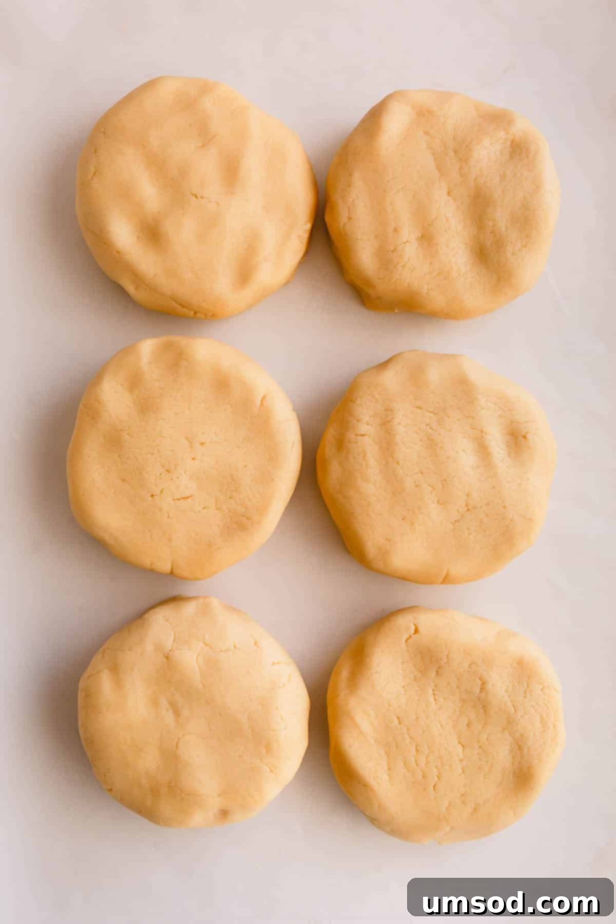 Tek Hamurdan 6dan Fazla Lezzet: Efsanevi Tereyağlı Kurabiye Hamuru 5 Six evenly divided disks of prepared butter cookie dough, ready for various holiday cookie transformations.