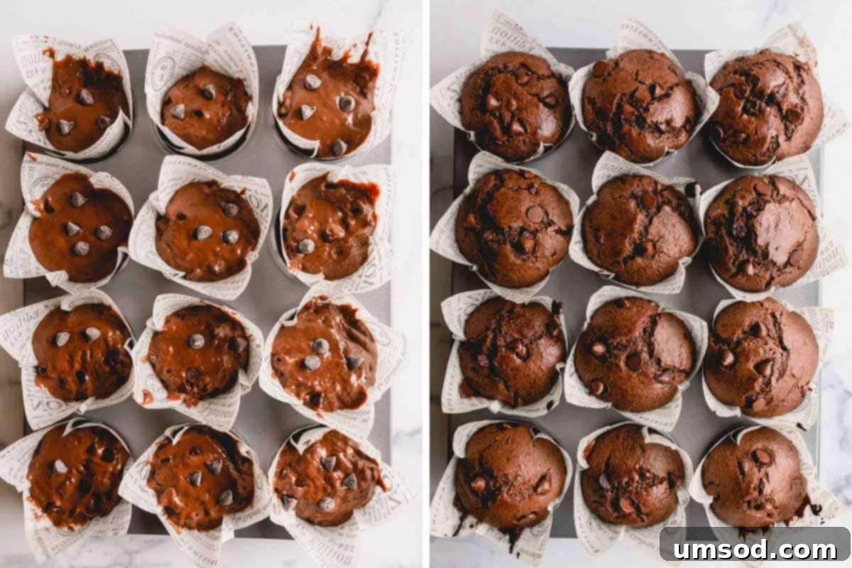 Zesty Orange Chocolate Muffins 6 A split image showing unbaked chocolate muffin batter in a pan next to golden-brown, baked chocolate muffins, ready to be enjoyed.