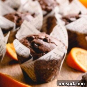 Zesty Orange Chocolate Muffins 8 orange chocolate muffins with orange slices.