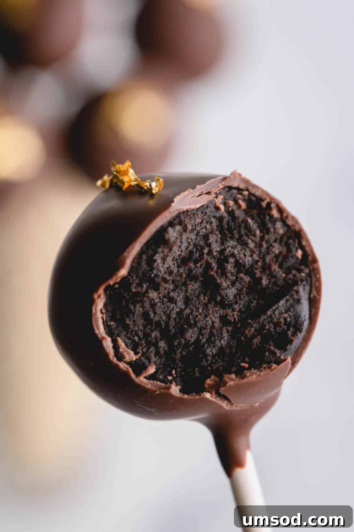 a bite taken out of a delicious homemade chocolate cake pop, showing its fudgy interior.