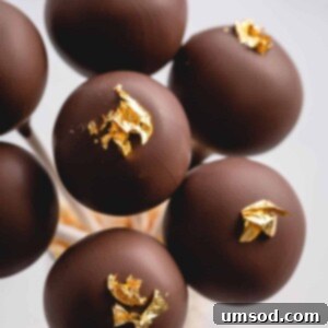 close-up of a chocolate cake pop with gold luster, highlighting its rich texture and decoration.