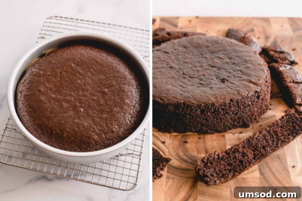 freshly baked chocolate cake in a pan and on a kitchen counter, ready for cooling.