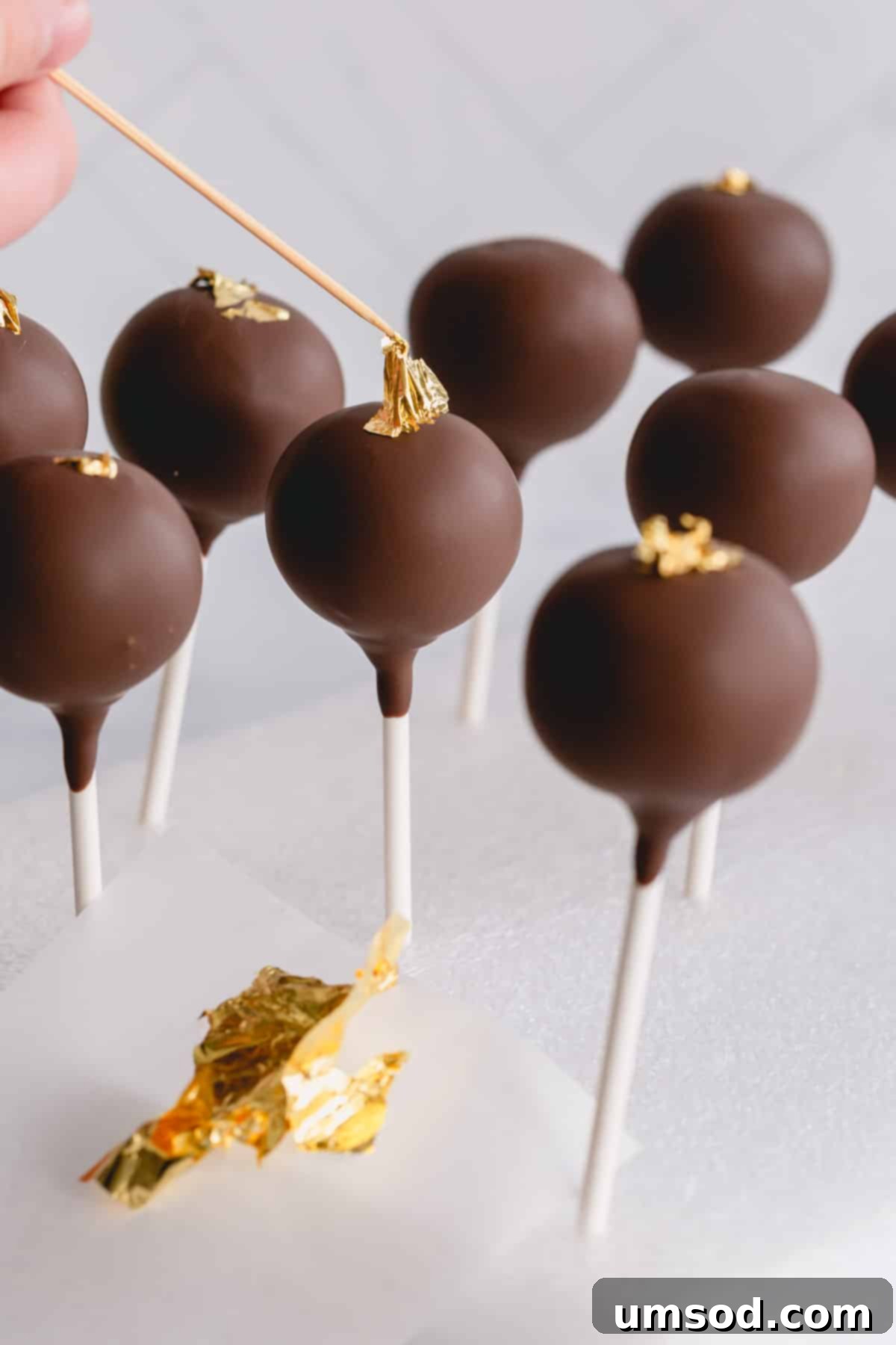 decorated chocolate cake pops displayed in styrofoam, setting beautifully.