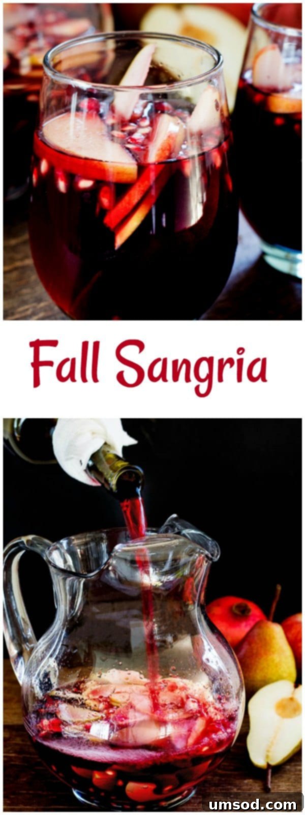 Autumn Harvest Sangria 2 This easy autumn sangria, filled with apples, pears and pomegranates, is an absolutely delicious drink you can enjoy this fall!