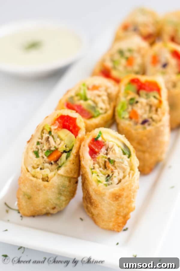 Golden brown crispy chicken avocado egg rolls arranged beautifully on a plate, ready to be served as an appetizer or snack.