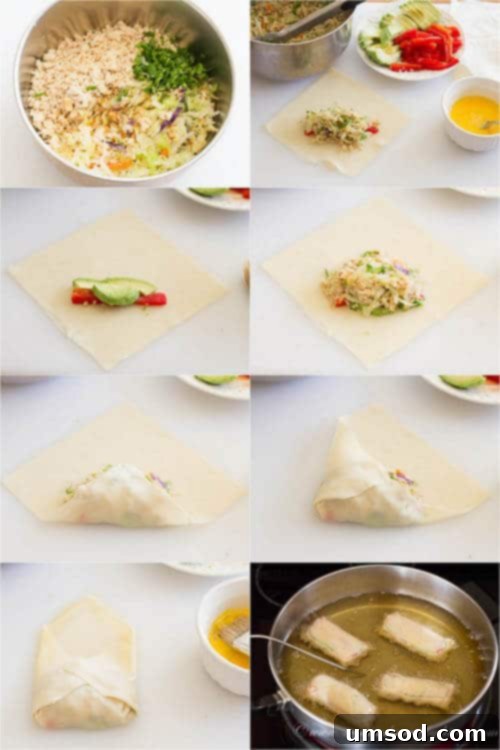 Step-by-step visual guide to rolling egg rolls, demonstrating the folding and sealing technique.