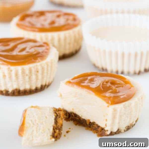 Effortless Chai Latte Cheesecake Bites 3 Close-up of creamy Chai Latte No-Bake Mini Cheesecakes, showcasing their delicate texture.