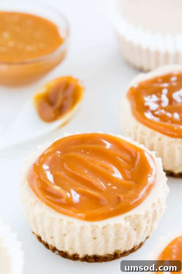 Effortless Chai Latte Cheesecake Bites 5 Decadent Chai Latte No-Bake Mini Cheesecakes ready to be enjoyed, garnished with caramel and sea salt.