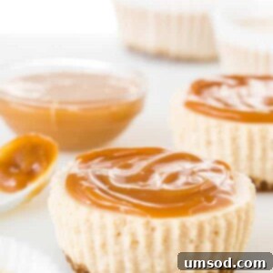 Effortless Chai Latte Cheesecake Bites 6 Chai Latte No-Bake Mini Cheesecakes