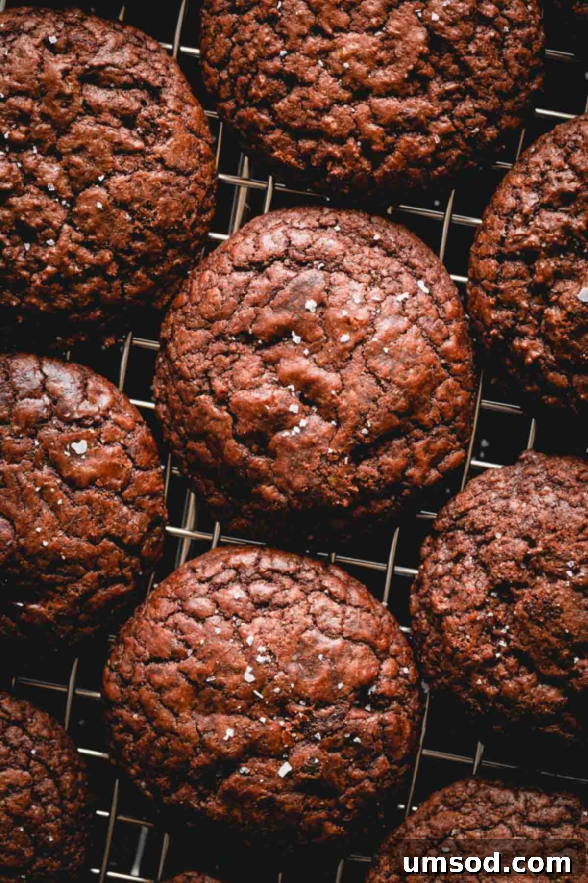 Simple Fudgy Brownie Cookies 10 Multiple fudgy brownie cookies arranged on a wire rack, cooling down.