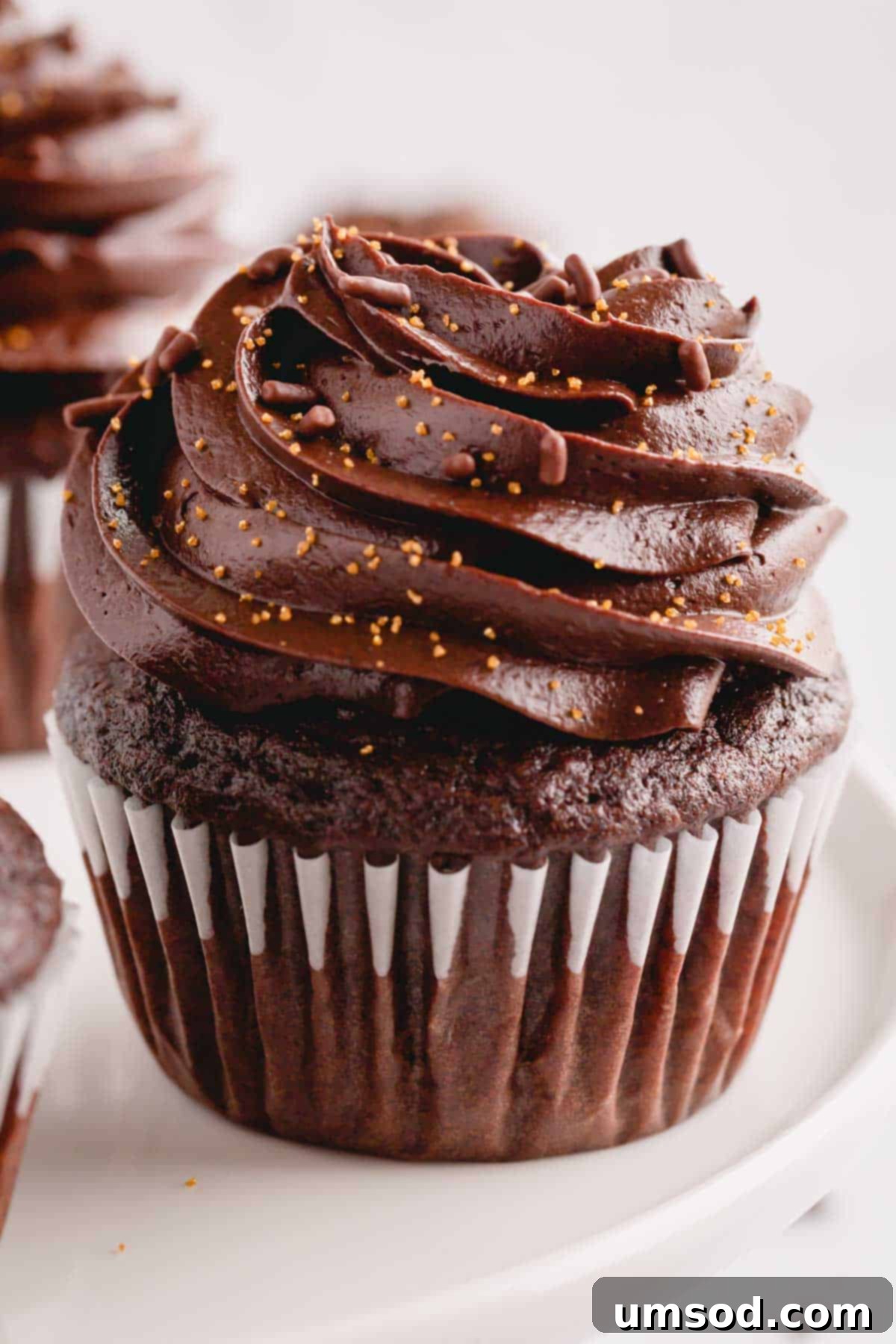 A beautifully frosted chocolate cupcake topped with rich chocolate cream cheese frosting, ready to be enjoyed.