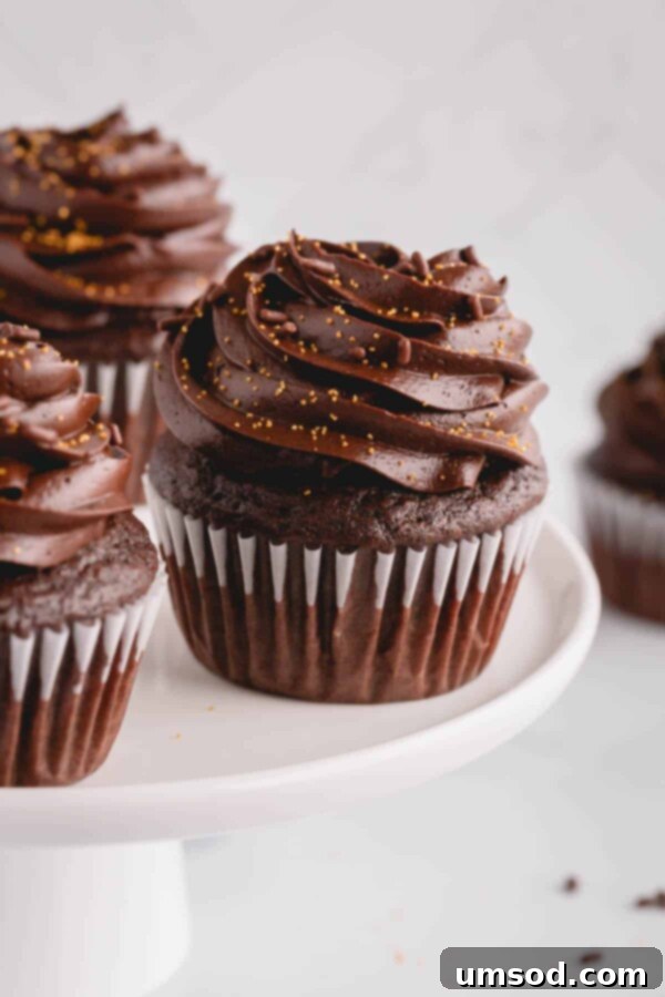 A delightful pair of chocolate cupcakes beautifully adorned with piped chocolate cream cheese frosting.