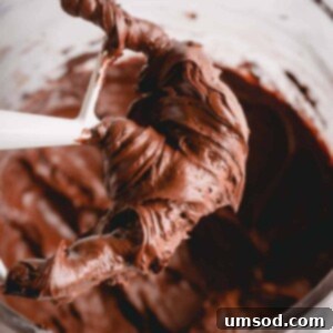 A paddle attachment from a stand mixer covered in rich chocolate cream cheese frosting, ready to be scraped off.