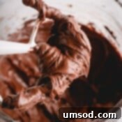 A smaller image of the paddle attachment with chocolate frosting on it, hinting at the delicious results.