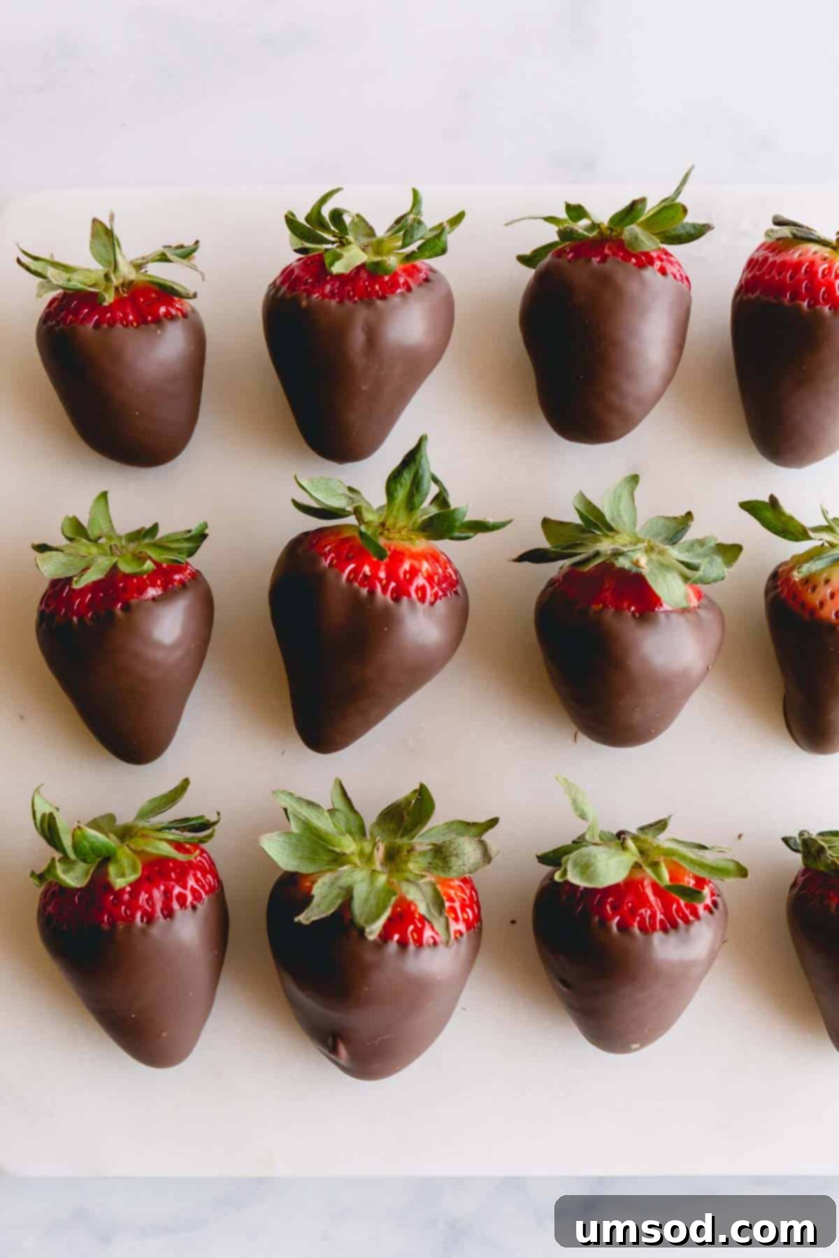 Three rows of chocolate covered strawberries on parchment paper.