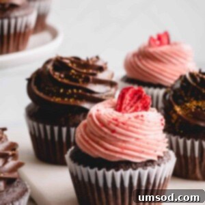 Ultimate chocolate cupcakes with strawberry and chocolate frosting.