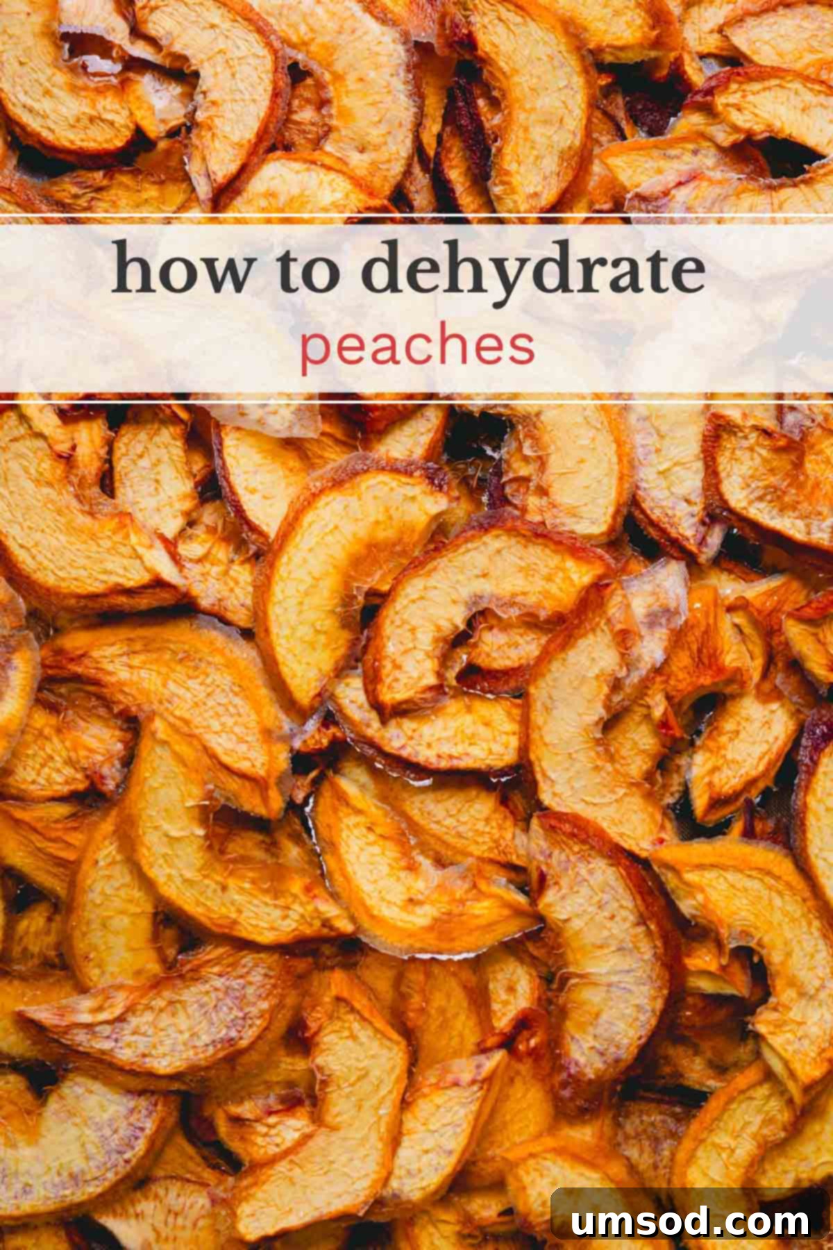An image of perfectly dehydrated peach slices, ready for snacking, with a banner hinting at "how to dehydrate peaches".