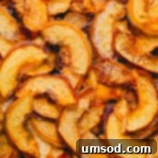 Close up image of dehydrated peaches.