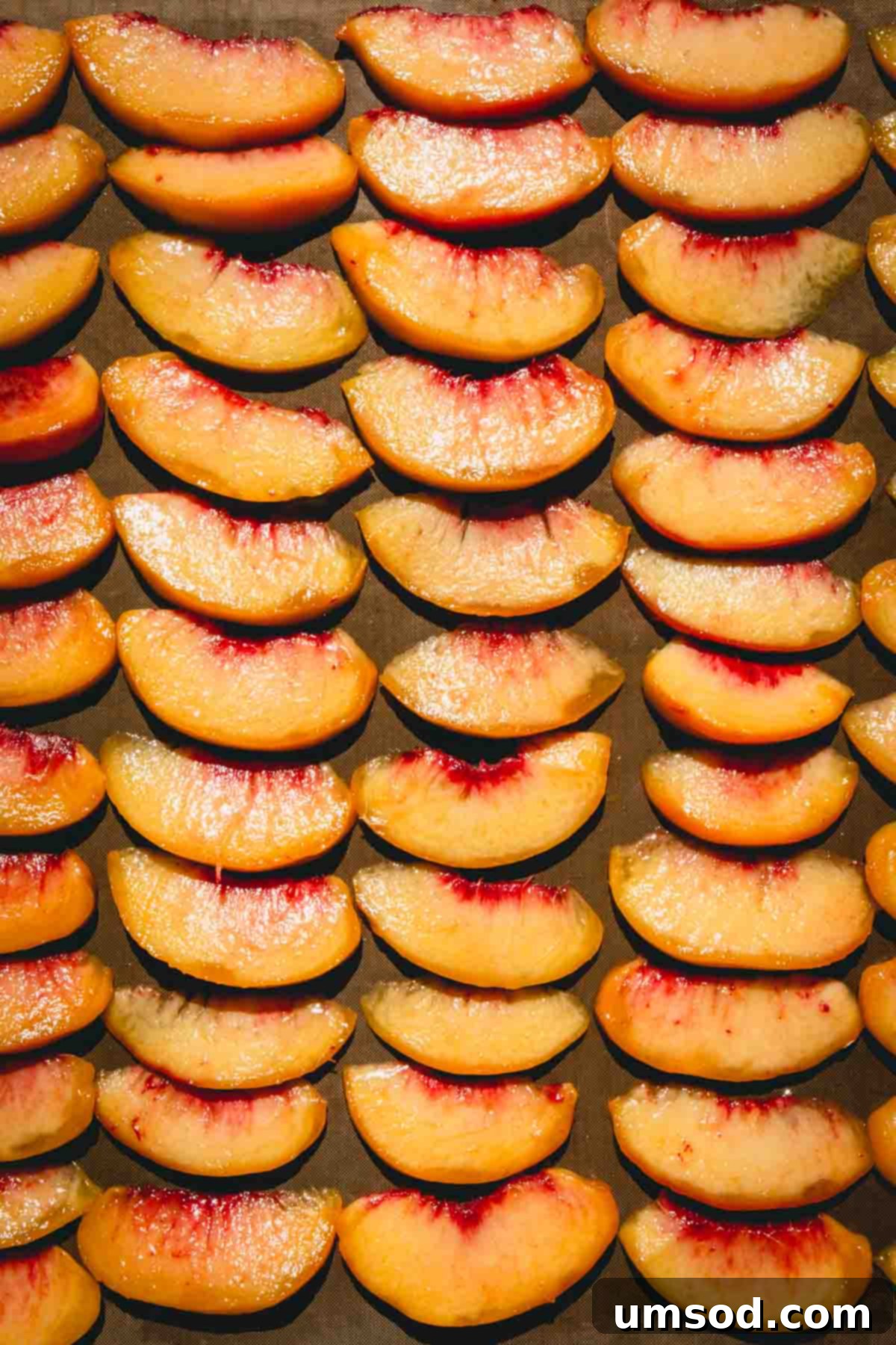 Rows of uniformly sliced peach segments neatly arranged on a dehydrator tray.