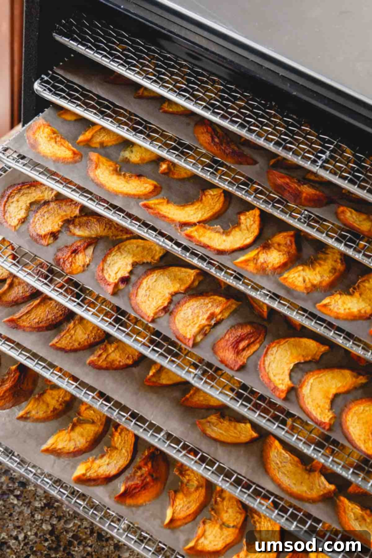 A dehydrator with multiple trays filled with peach slices in various stages of drying.