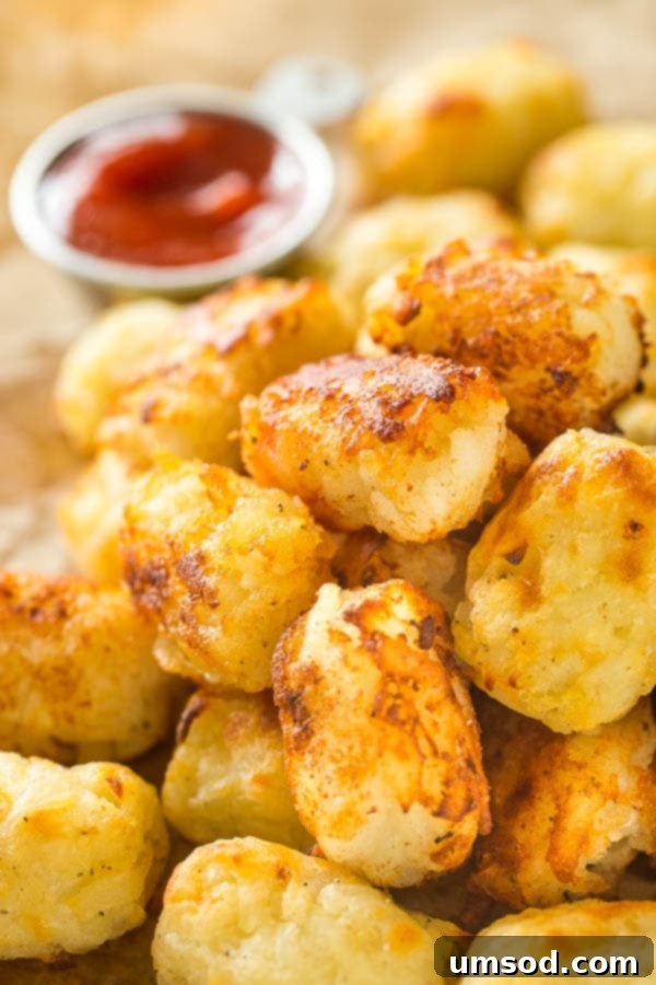 A basket of freshly made homemade tater tots, ready for serving or dipping into your favorite sauce.