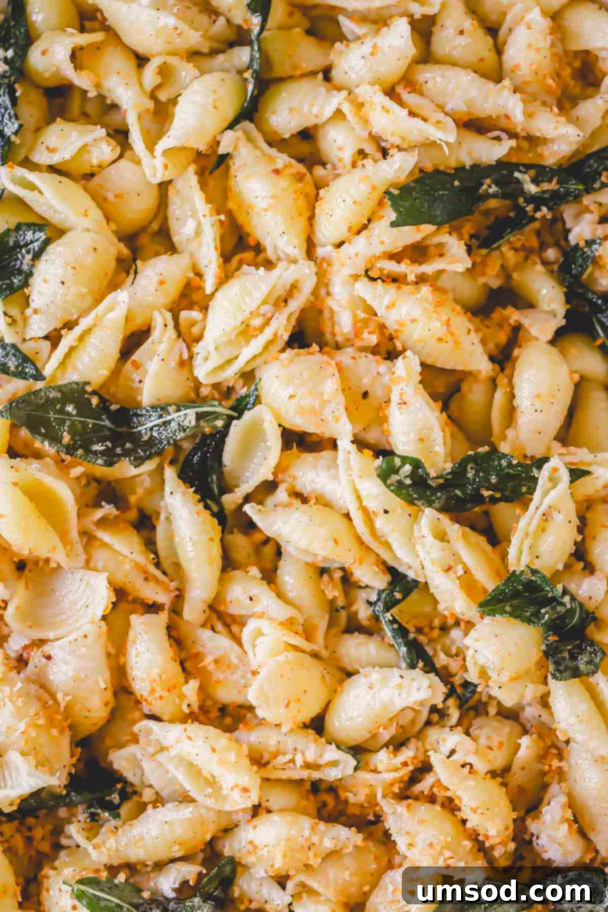 Close up image of brown butter pasta with sage and breadcrumbs, showcasing the rich sauce and texture.