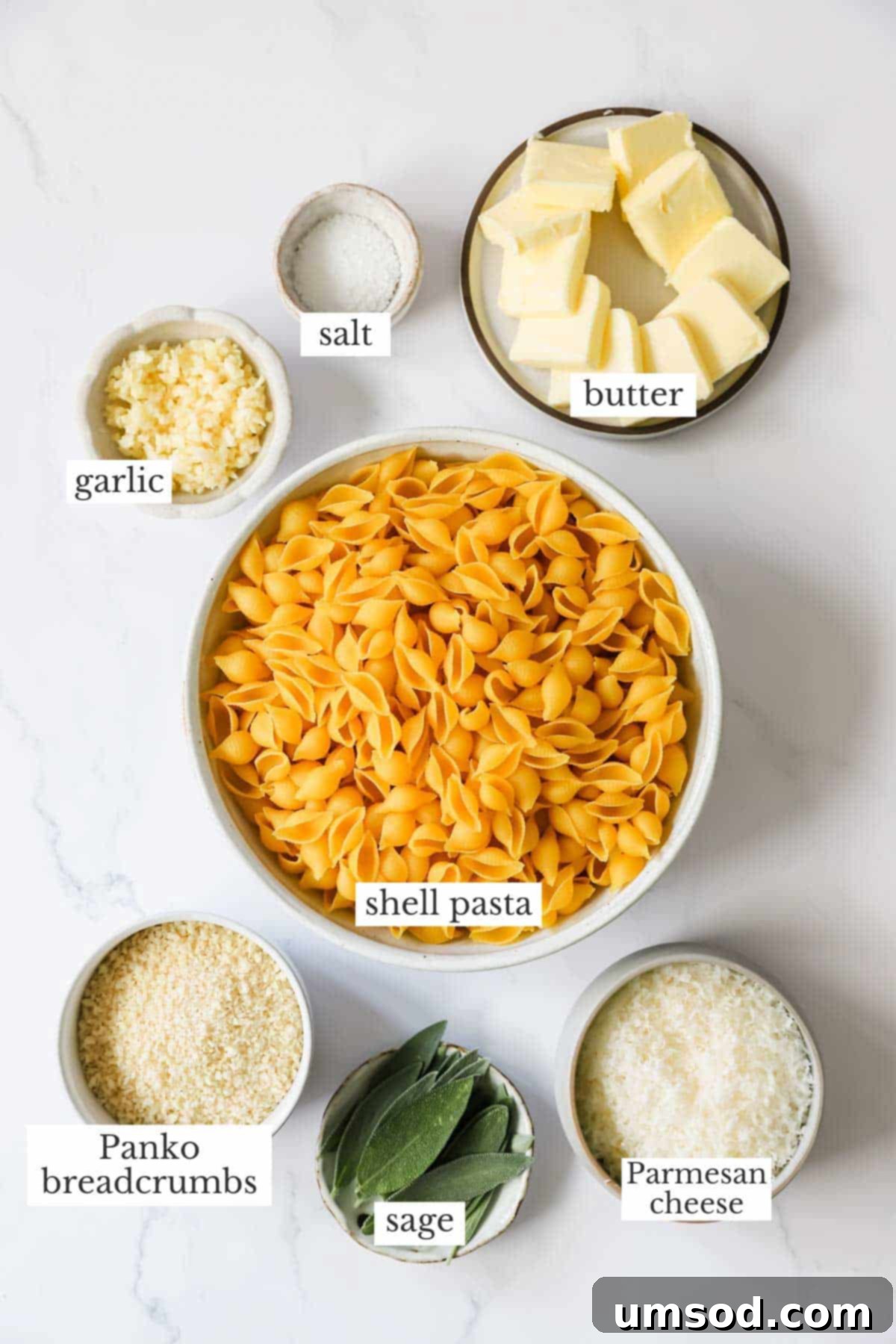 Ingredients needed to make brown butter pasta with breadcrumbs and sage, neatly laid out.