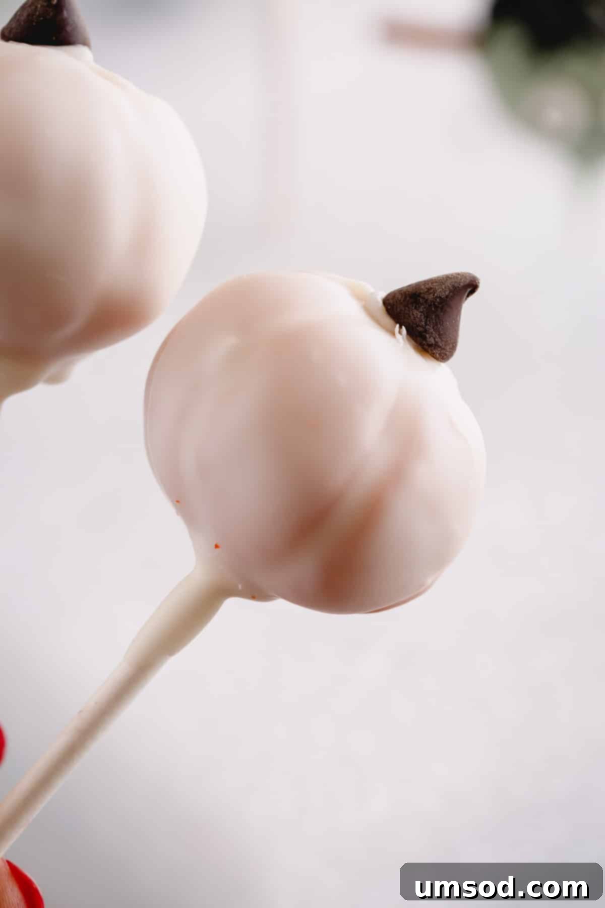 Ghoulishly Good Cake Pops 7 A perfectly coated white pumpkin cake pop, topped with a mini chocolate chip stem.