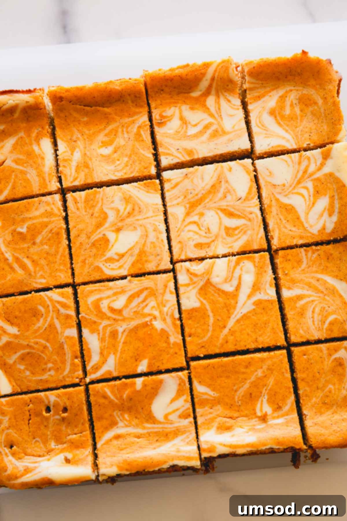 An inviting overhead shot of squares of pumpkin cheesecake bars, perfectly baked and ready to be served.