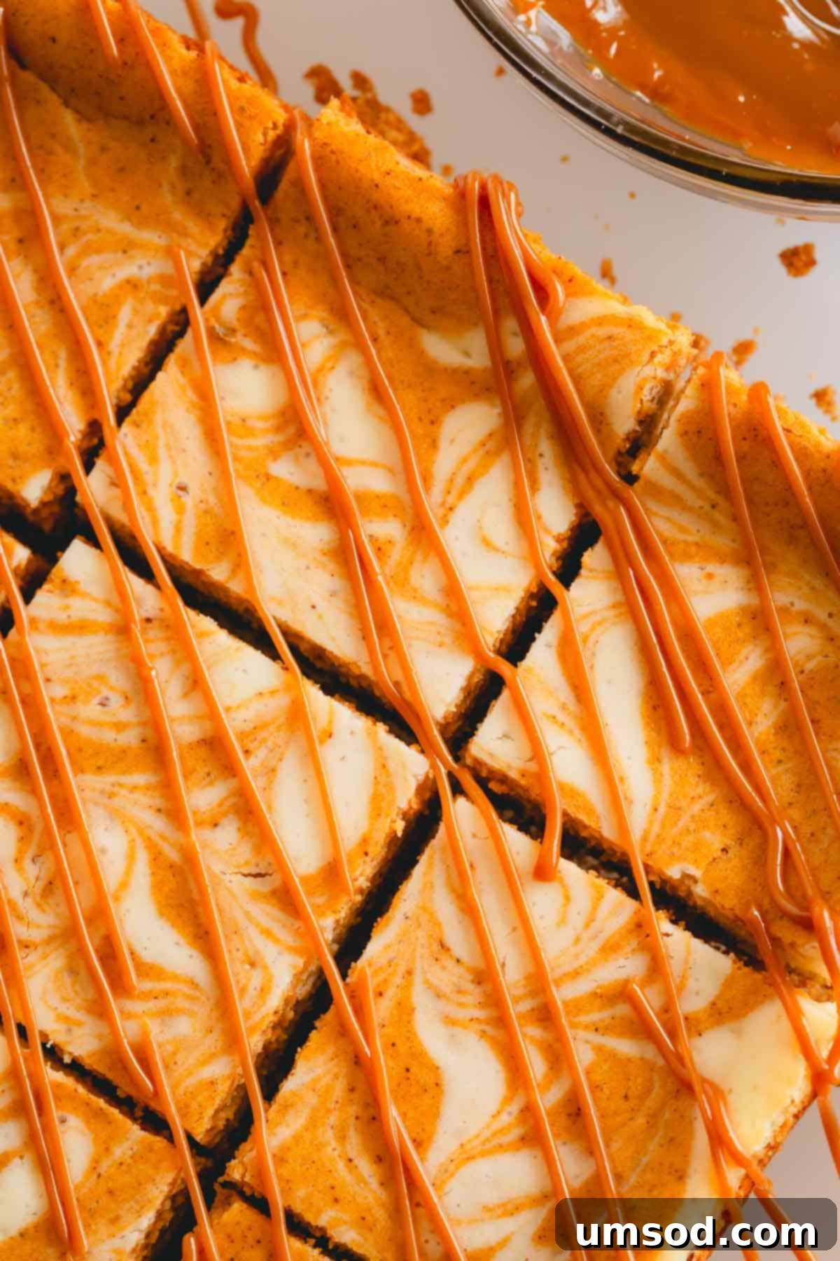 An overhead view of pumpkin cheesecake bars beautifully drizzled with rich caramel sauce, inviting a delicious bite.