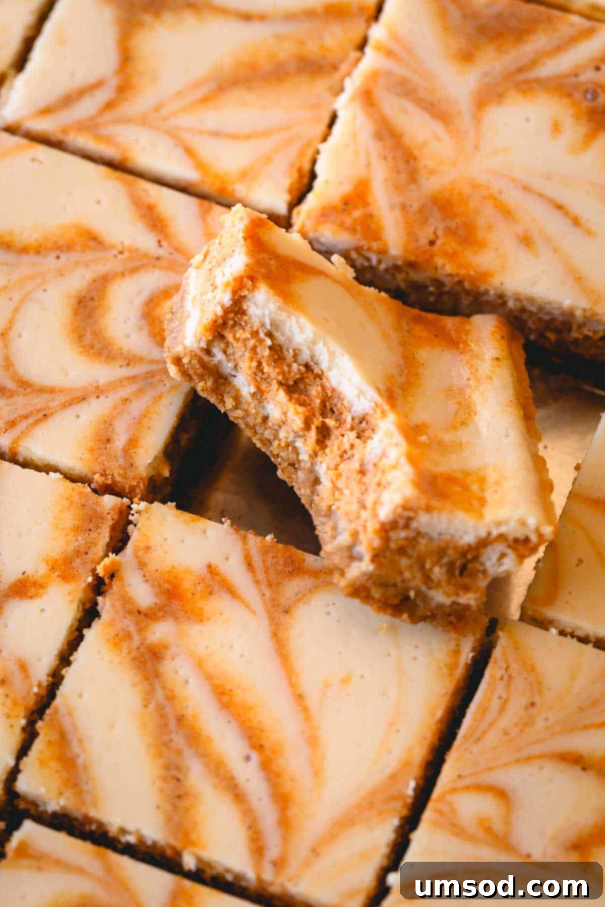 A close-up image of perfectly cut squares of pumpkin cheesecake bars, with one bar showing a bite taken out, highlighting its creamy texture.