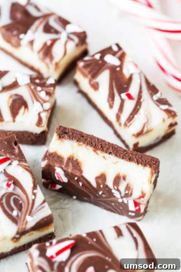 Decadent Double Chocolate Peppermint Fudge bites, perfect for sharing during the holidays.