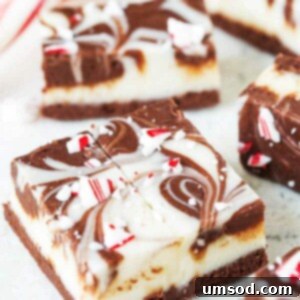 Delicious Double Chocolate Peppermint Fudge