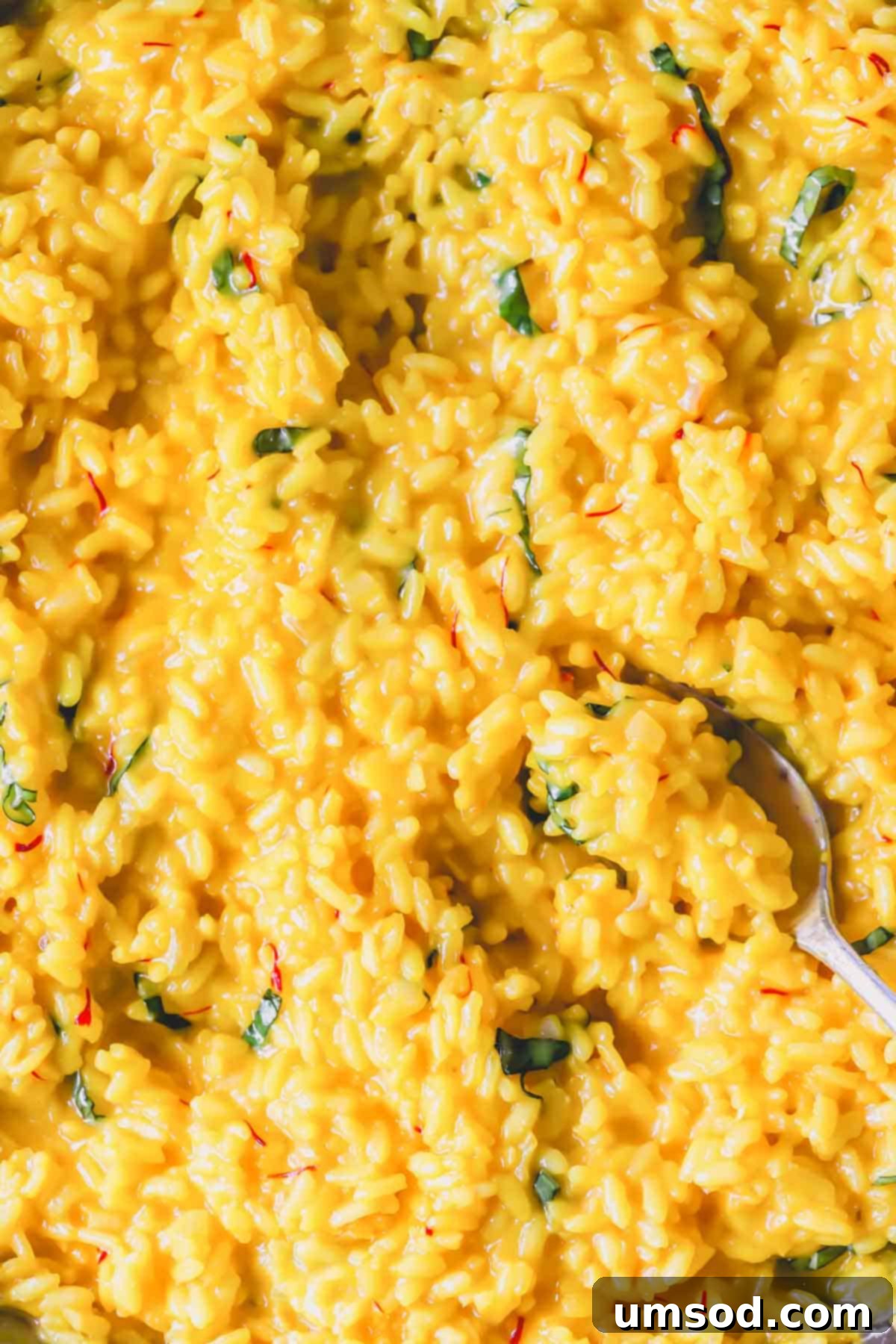 A close-up view of creamy saffron risotto with a serving spoon gently lifting a scoop, highlighting the al dente rice grains and rich consistency.