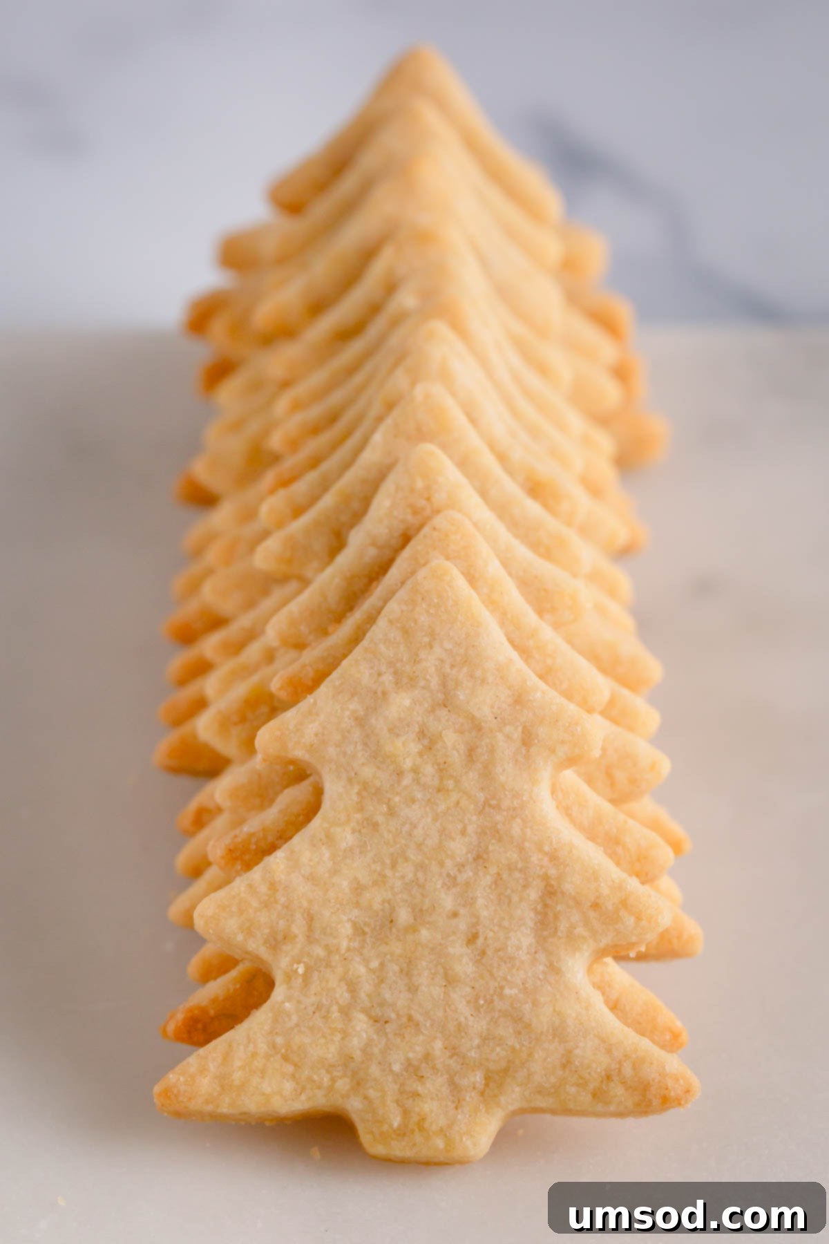 A charming stack of freshly baked sugar cookies shaped like Christmas trees, ready for decoration.