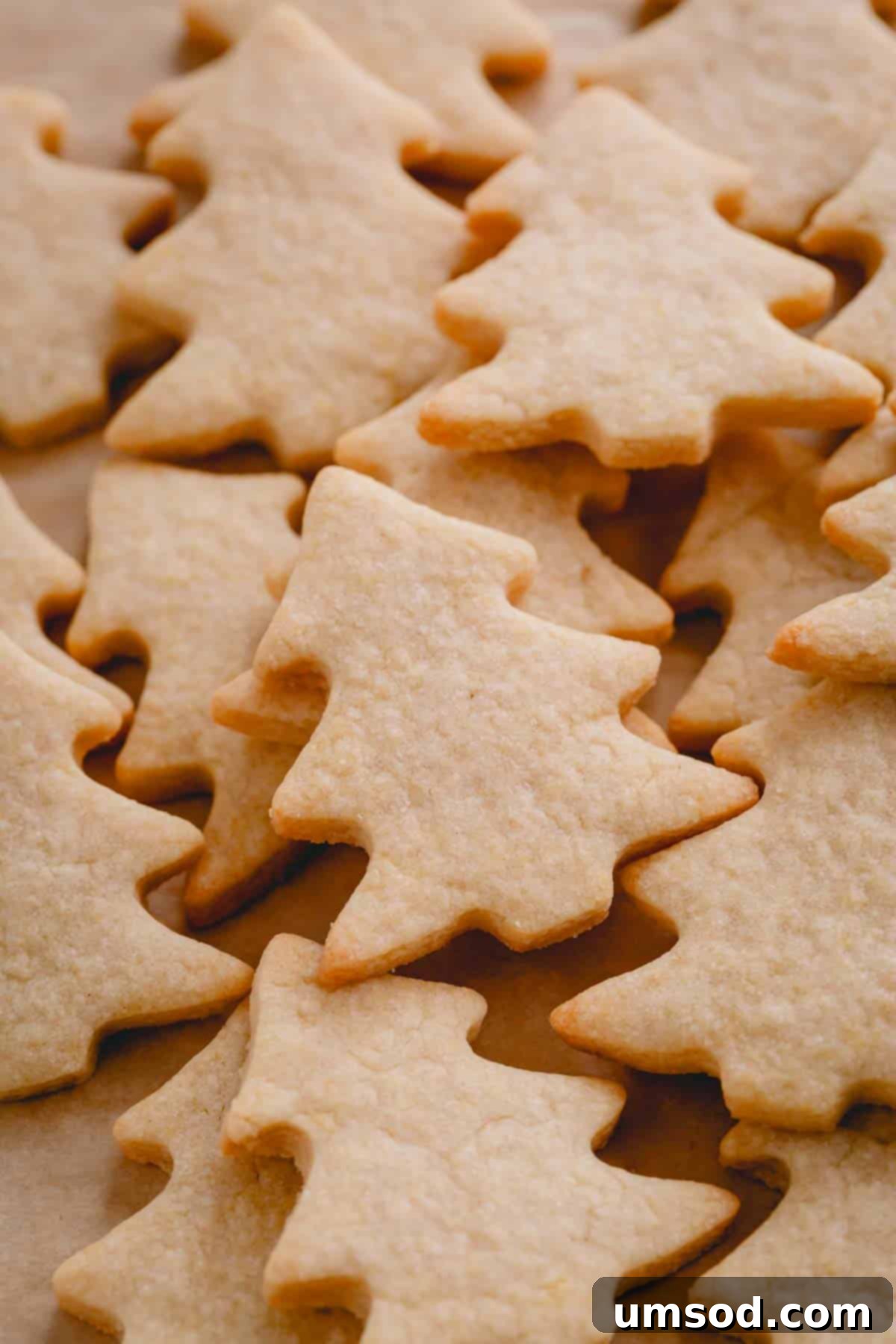 Perfectly baked Christmas sugar cookies in the shape of festive Christmas trees, ready for intricate decorating.