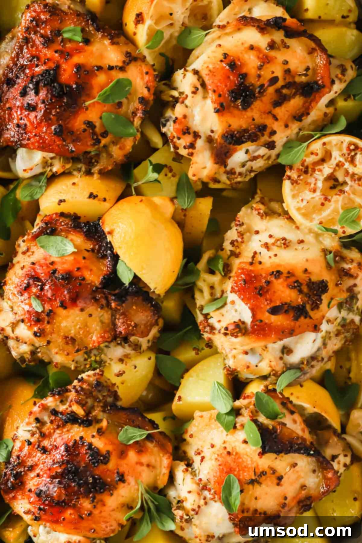 Golden-brown Greek lemon chicken and potatoes garnished with fresh herbs, ready to be served.