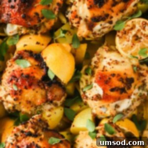Greek lemon chicken and potatoes topped with fresh herbs.